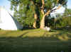 IMG_0069.JPG (85036 bytes)